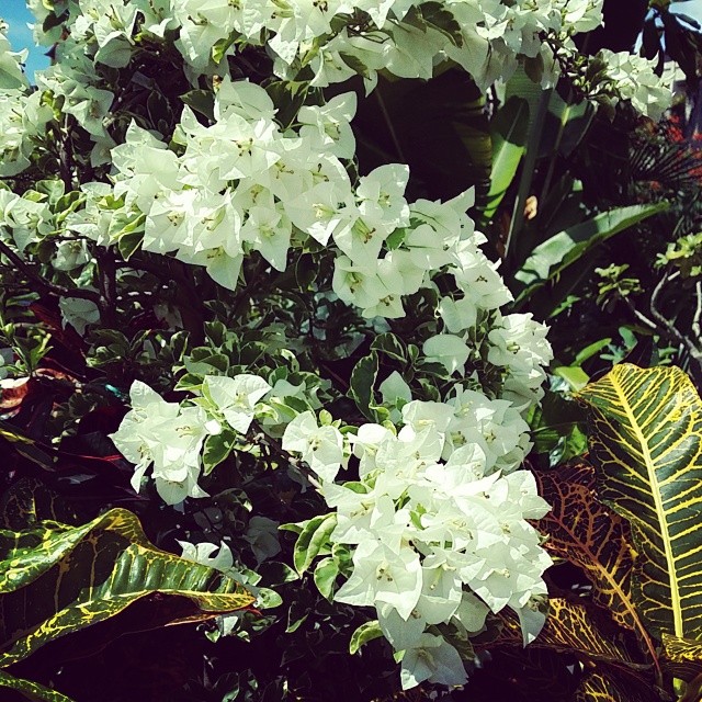 Honey Moon Bali-2014.04.14